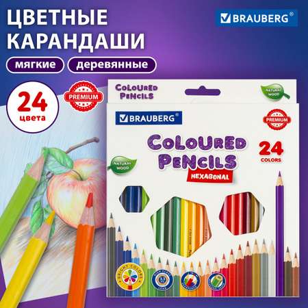 Карандаши цветные Brauberg 24 шт.