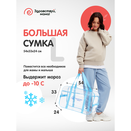Сумка в роддом Здравствуй мама! Premium Quality 2 шт