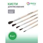Кисть Astra Craft 5 шт. (пони)
