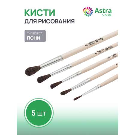 Кисть Astra Craft 5 шт. (пони)
