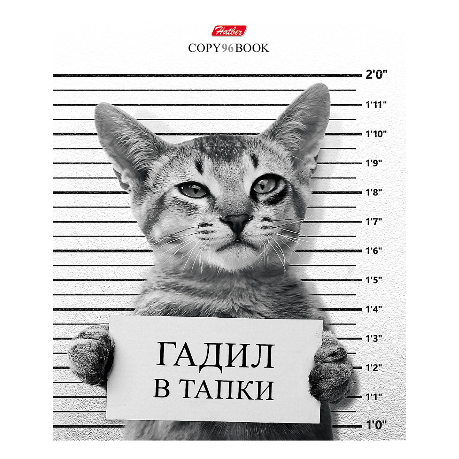 Общая тетрадь Hatber клетка 96 лист. в ассортименте - фото 2