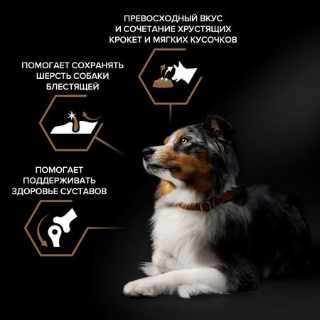 Корм для собак PRO PLAN Duo Delice говядина с рисом 2.5кг
