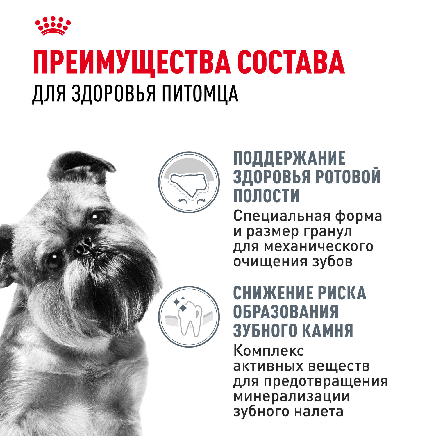 Корм для собак ROYAL CANIN Mini Dental мелких пород предрасположенных к образованию зубного камня 1кг - фото 3