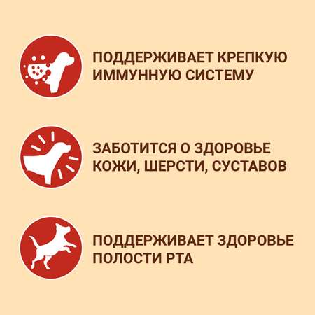 Корм для собак Purina One средних и крупных пород с ягненком и рисом сухой 3.8кг