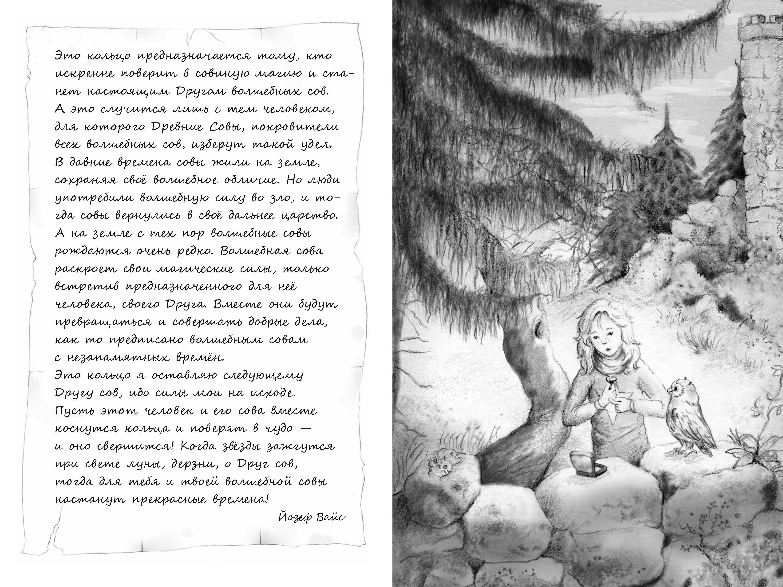 Книга Качели Золотая тайна - фото 4