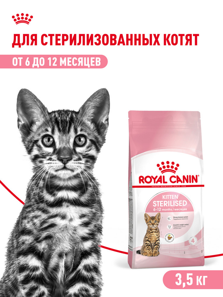 Корм сухой для котят ROYAL CANIN Sterilised 3.5кг стерилизованных - фото 1