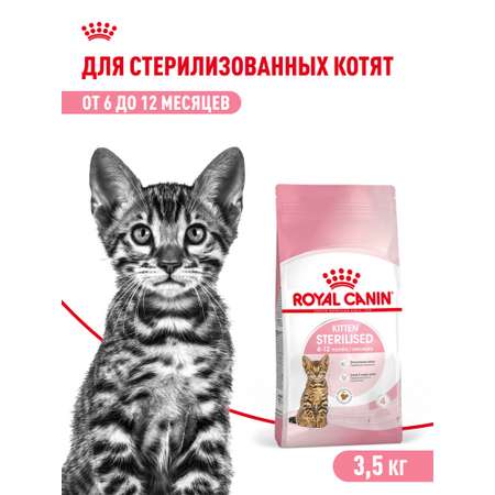 Корм сухой для котят ROYAL CANIN Sterilised 3.5кг стерилизованных