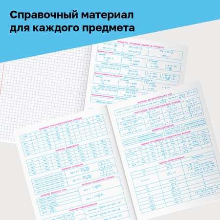 Тетрадь BG 48 лист. 12 шт.