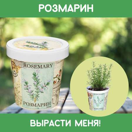 Набор для выращивания Rostok Visa