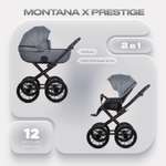 Коляска 2в1 Riko Basic Montana X Prestige серый