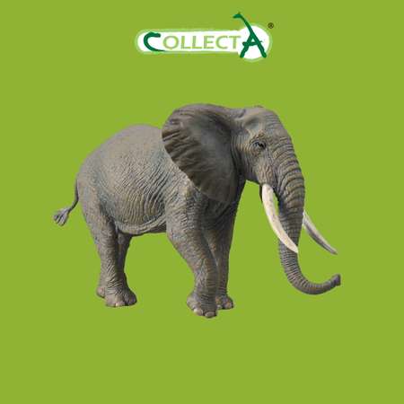 Фигурка Collecta Слон африканский