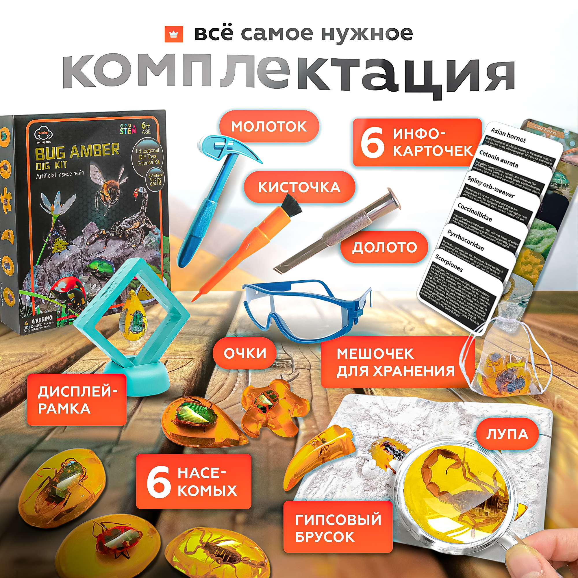 Набор для раскопок SHARKTOYS Насекомые в янтаре - фото 2