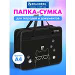 Папка для тетрадей Brauberg кошка А4