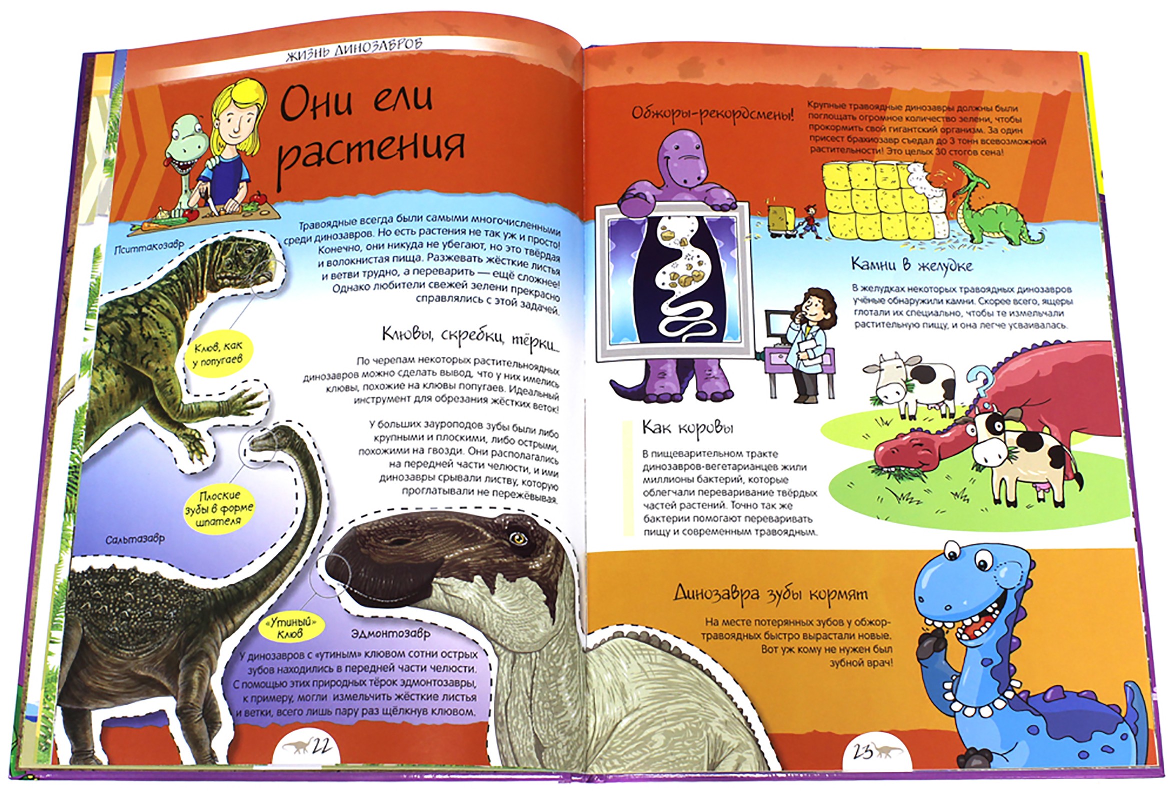 Книга Лабиринт Динозавры Нескучная энциклопедия - фото 7
