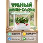 Гидропонная установка ENDEVER Garden-1 12 Вт 1.8 л 3 модуля LED белый/зелёный