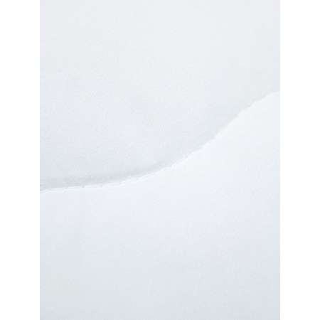 Одеяло для SNOFF 2-спальное лебяжий пух классическое 172х205