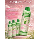 Экстракт Здравландия 1000 мл 4 шт.