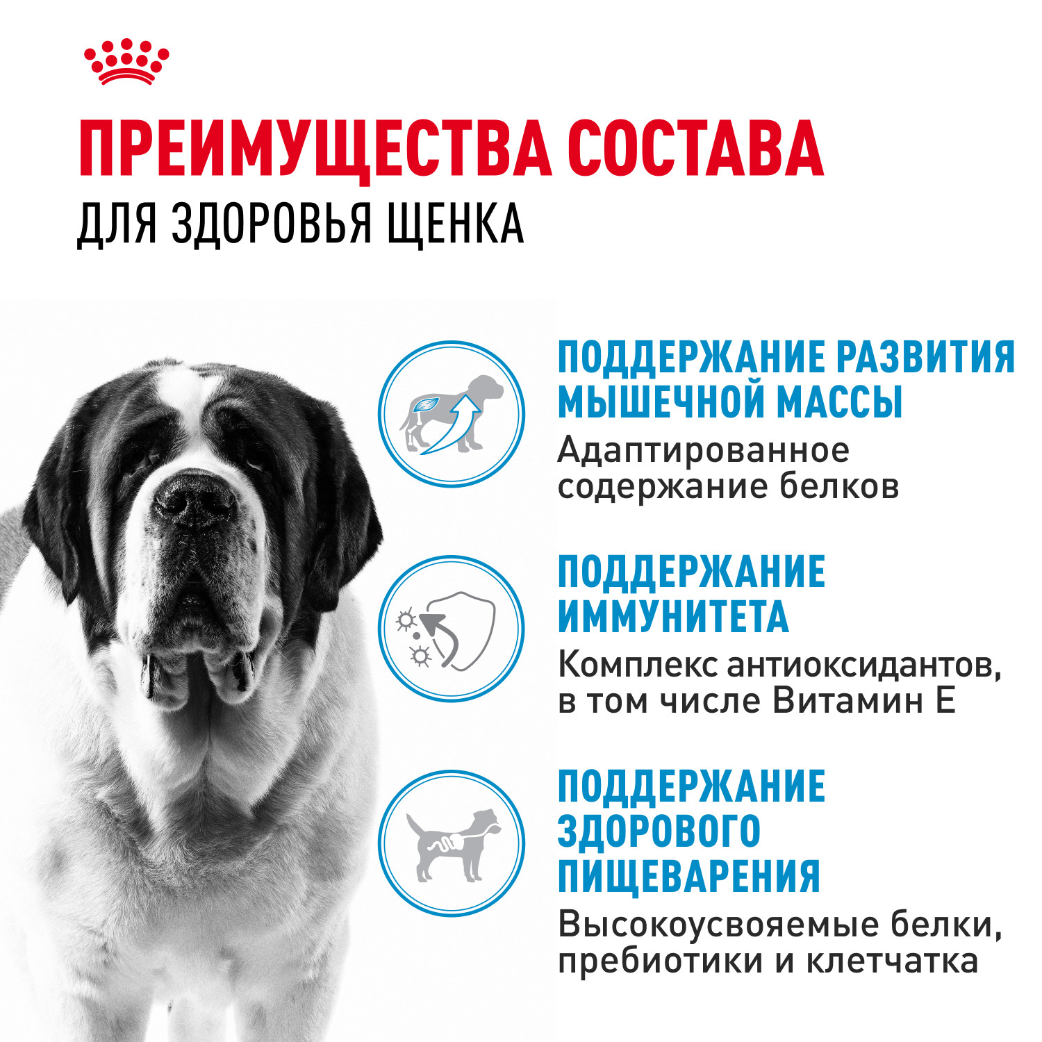 Корм для щенков ROYAL CANIN гигантских пород 8-24месяцев 15кг - фото 3