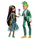 Кукла модельная Monster High