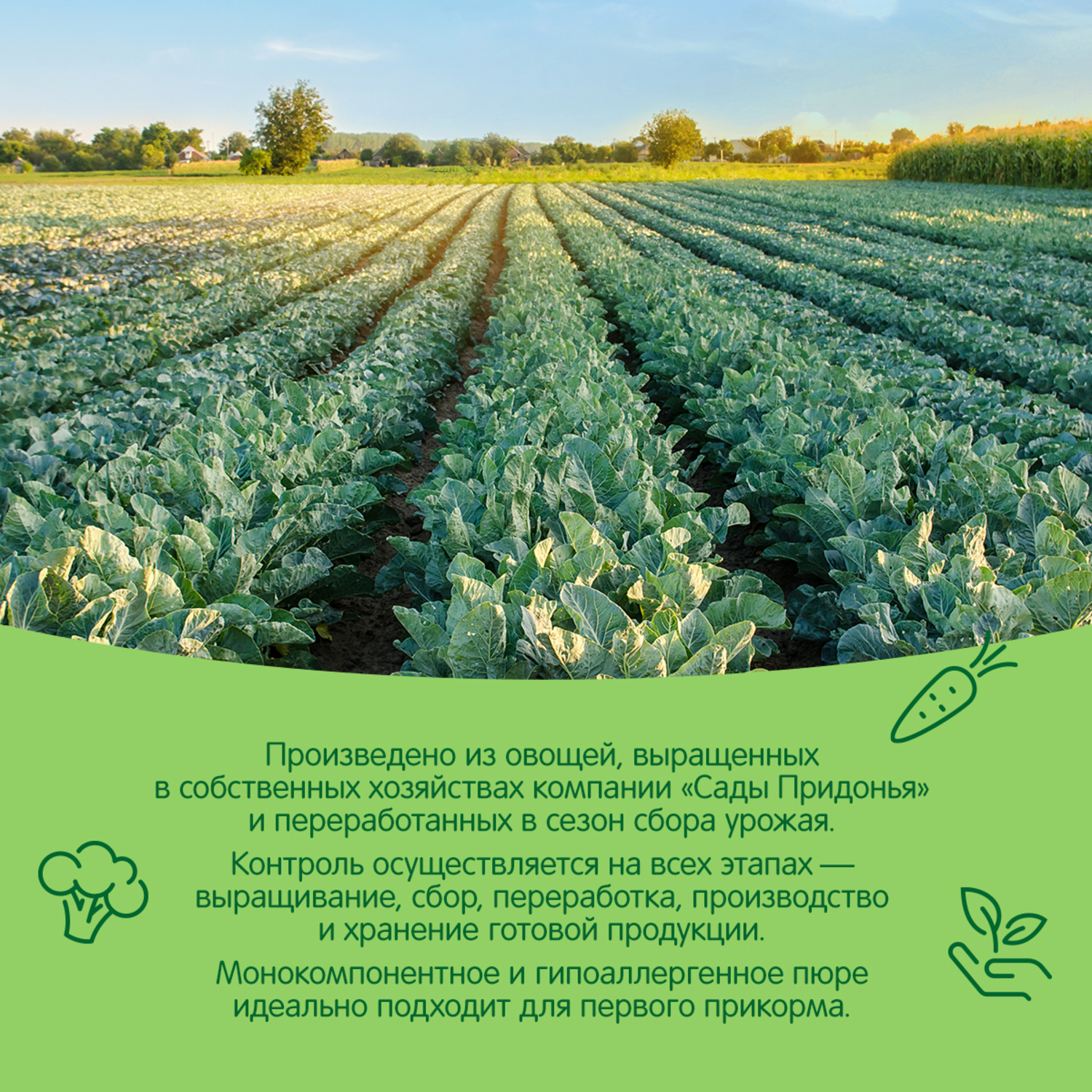 Пюре Сады Придонья Брокколи с 4 мес 125 г - фото 5