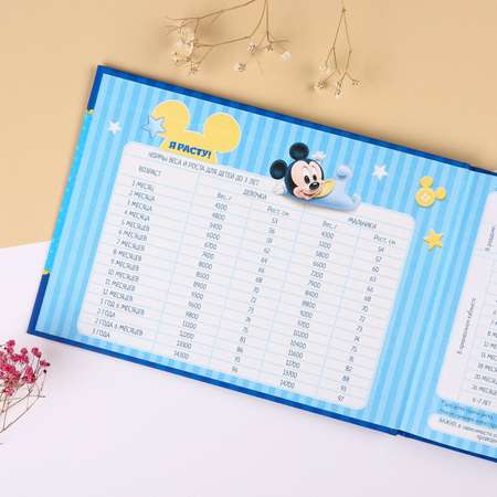 Визитница Disney
