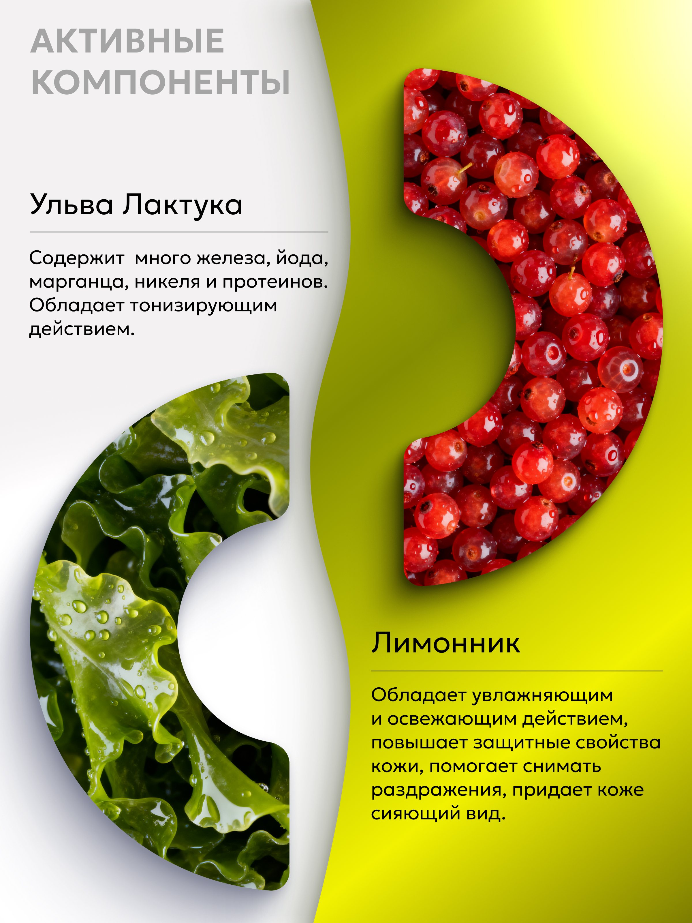 Гель-крем HydroBionique by Doctor Ocean 500 мл 500 мл 1 шт. - фото 4