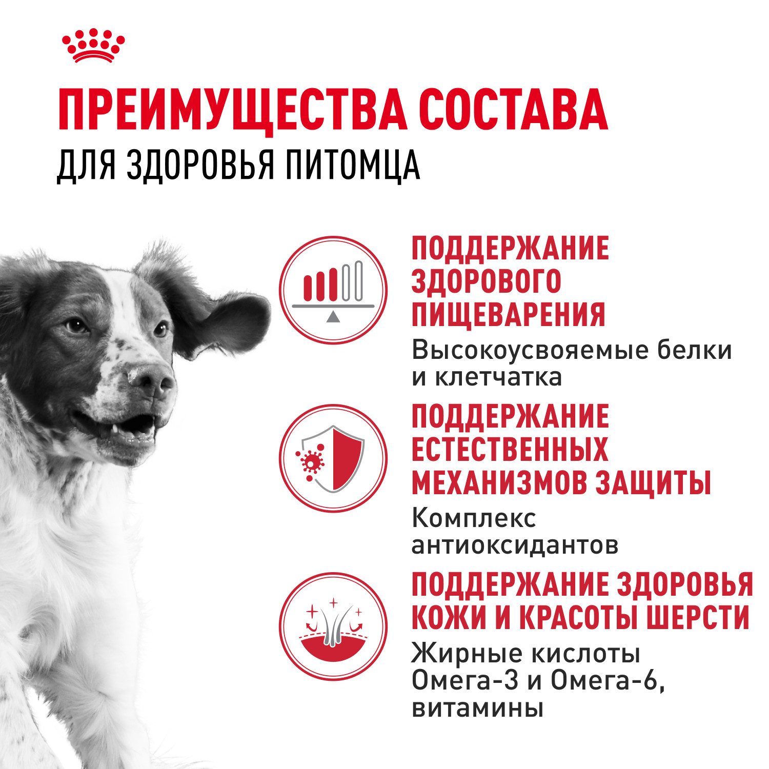Корм для собак ROYAL CANIN средних пород 15кг - фото 3