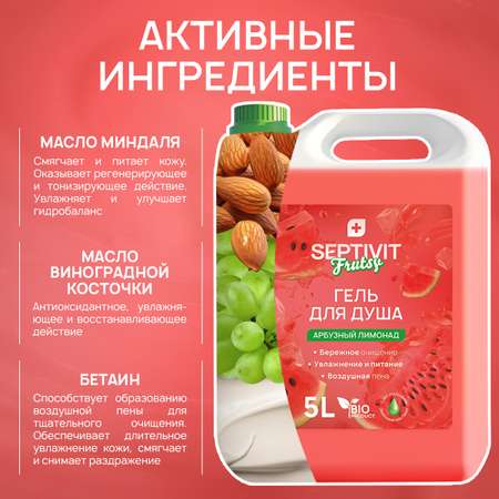 Гель SEPTIVIT Арбузный лимонад 5000 мл