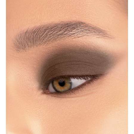 Тени для век матовые Luxvisage Color Matt Тон 14 Dark Brown 16г