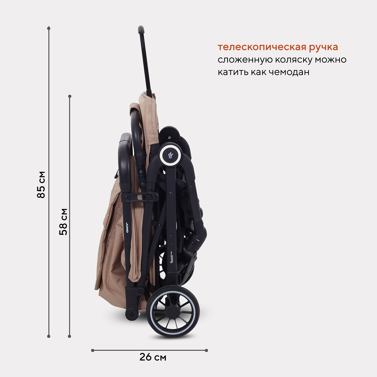 Коляска прогулочная Rant Basic Juno, cream золотой - фото 8