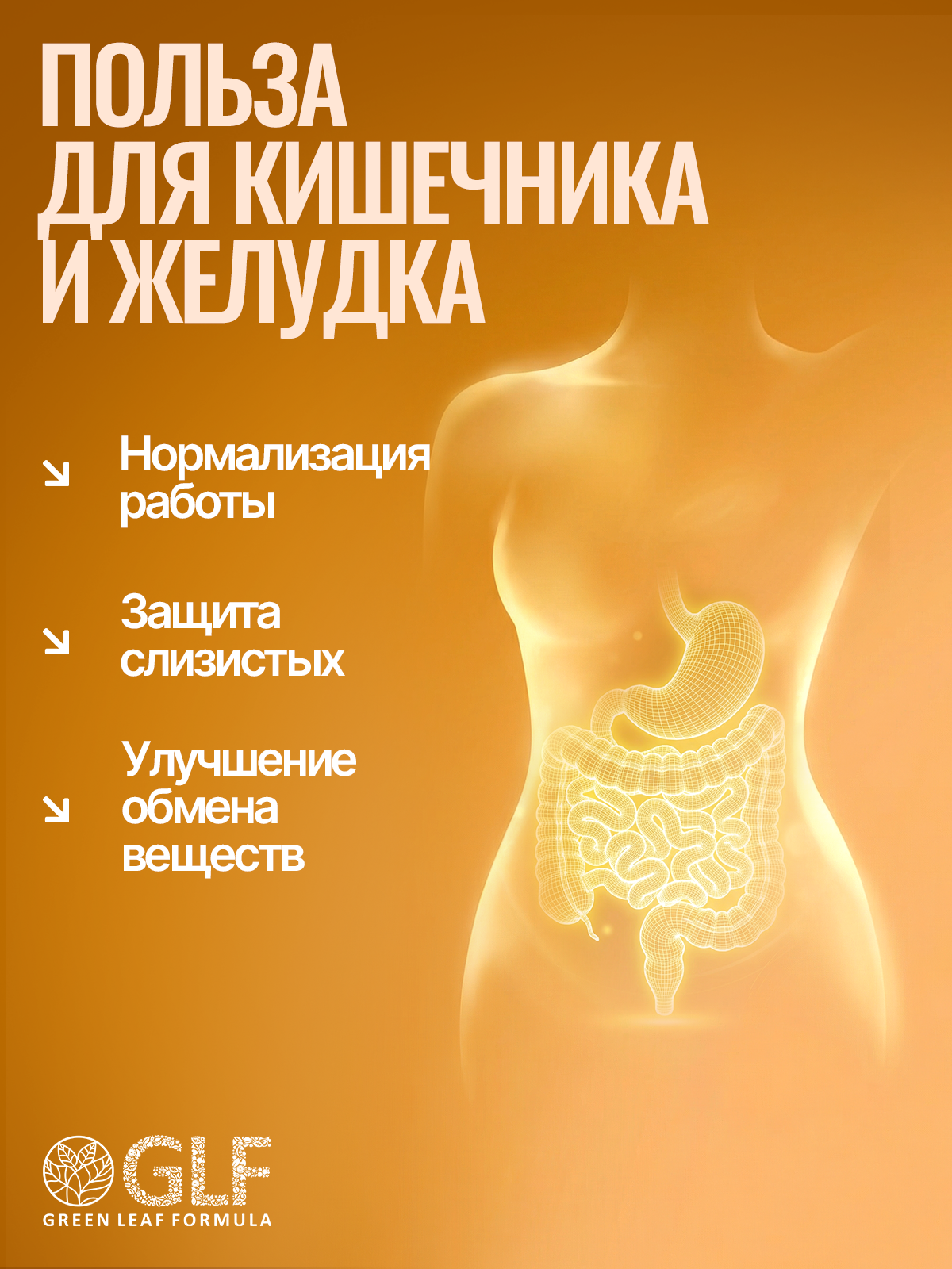 ОМЕГА 7 для слизистых желудка кищечника Green Leaf Formula для жкт масло черного тмина для иммунитета снижение аппетита витамины А,Е,Д3 - фото 2