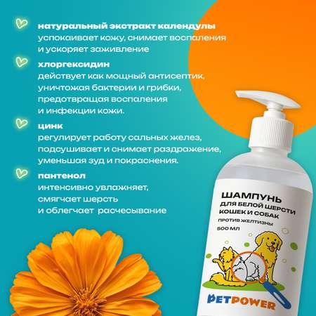 Фиолетовый шампунь PETPOWER от желтизны на белой шерсти собак и кошек
