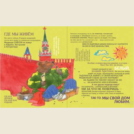 Книга АЙАР Чем хороши медведи