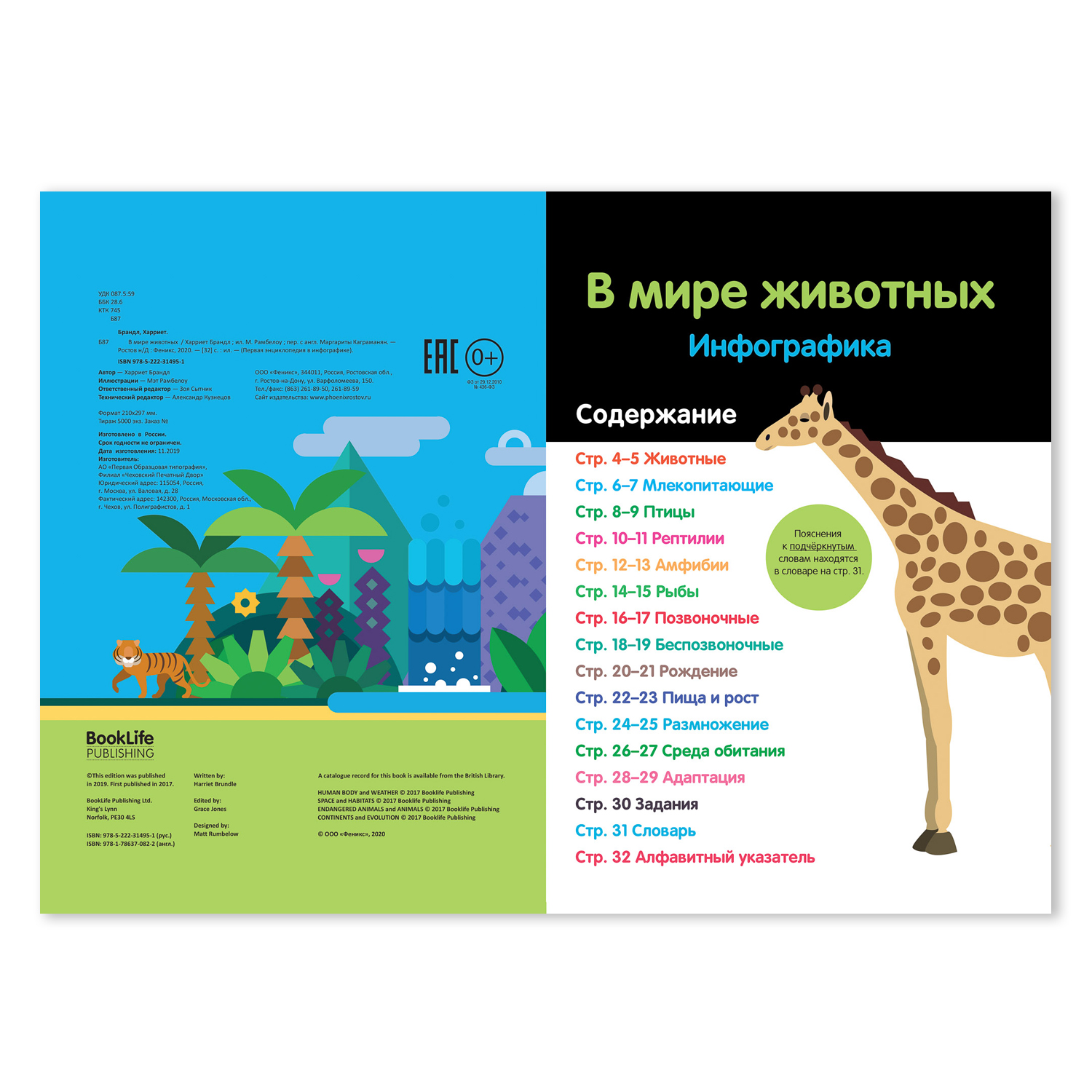 Книга Феникс Премьер В мире животных Инфографика - фото 2