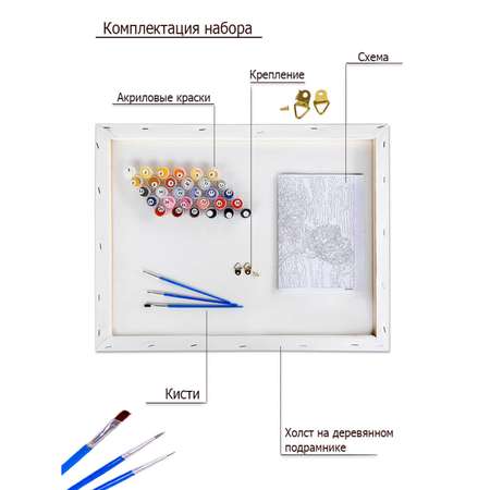 Картина по номерам Цветной