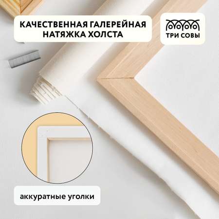Картина по номерам ТРИ СОВЫ Балерина