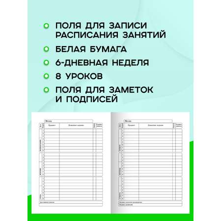 Дневник школьный Prof-Press 40 листов