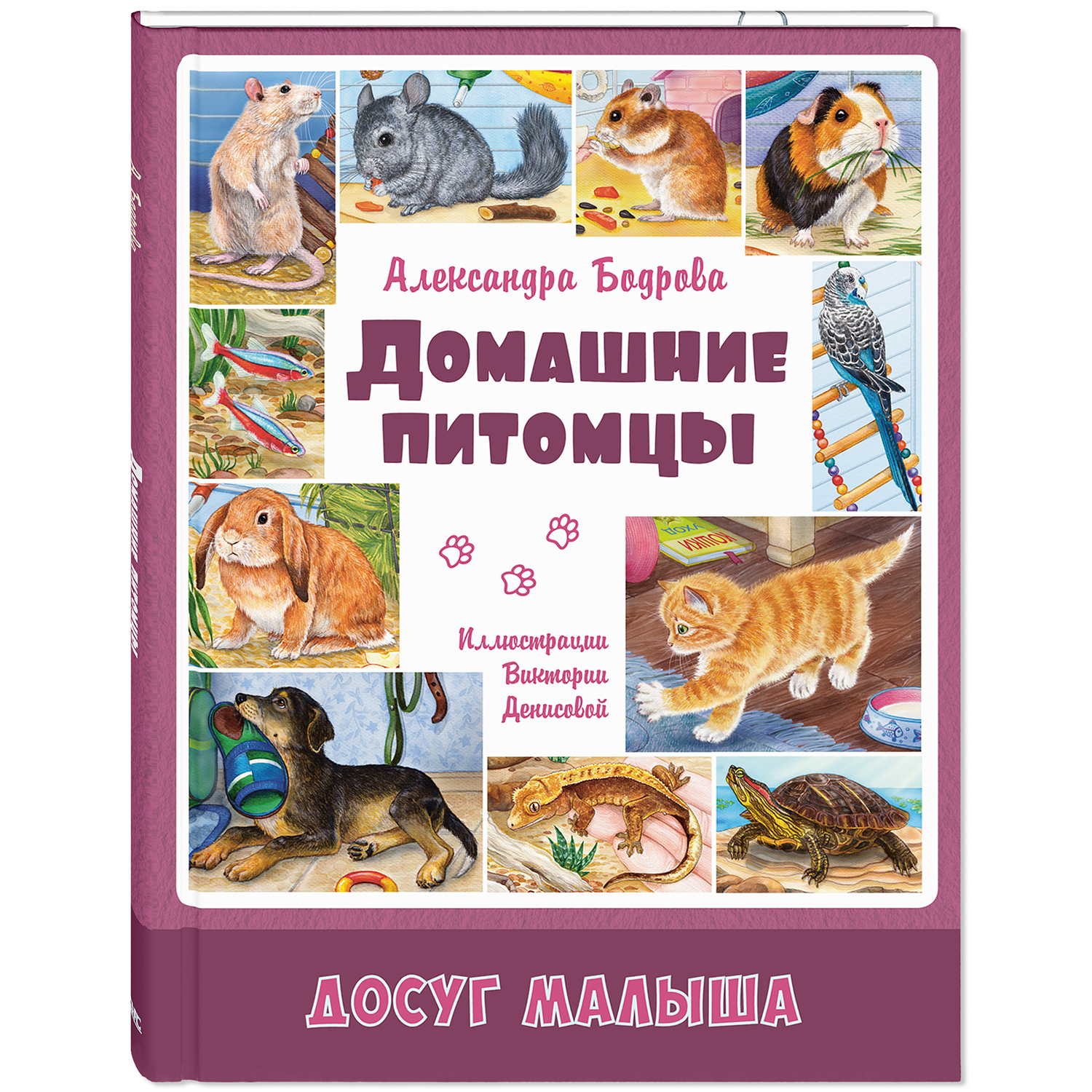 Книга ЭНАС-книга Домашние питомцы - фото 1
