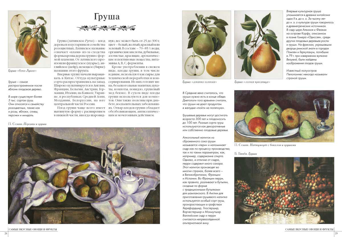 Книга Белый город Самые вкусные овощи и фрукты - фото 4