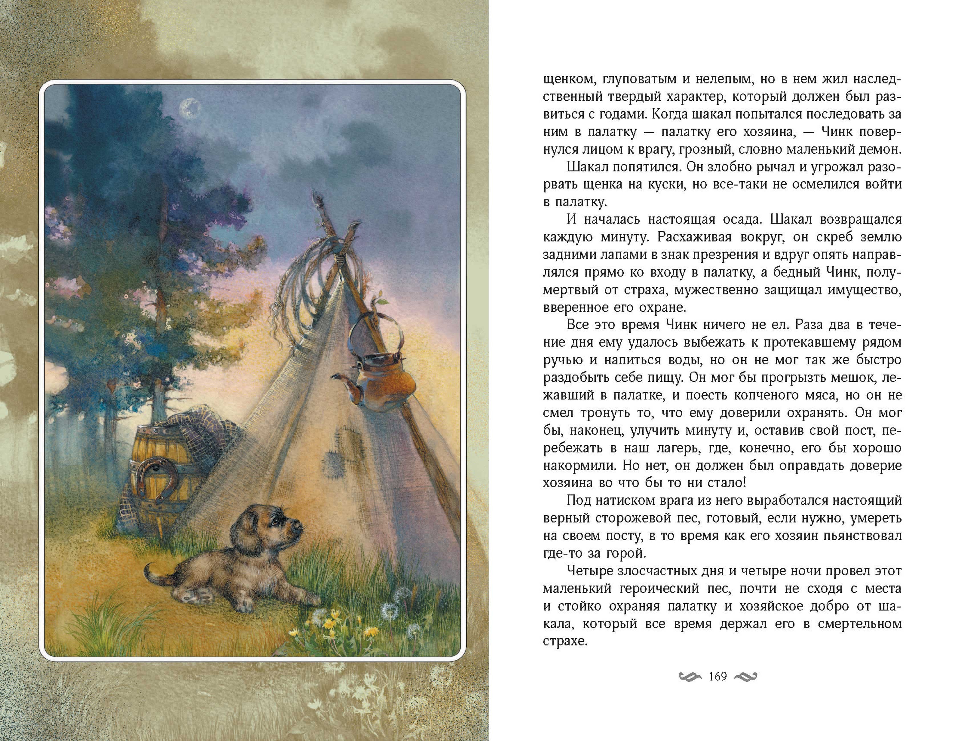 Книга Качели Королевская Аналостанка и другие рассказы - фото 4