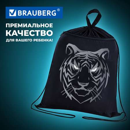 Мешок для обуви Brauberg