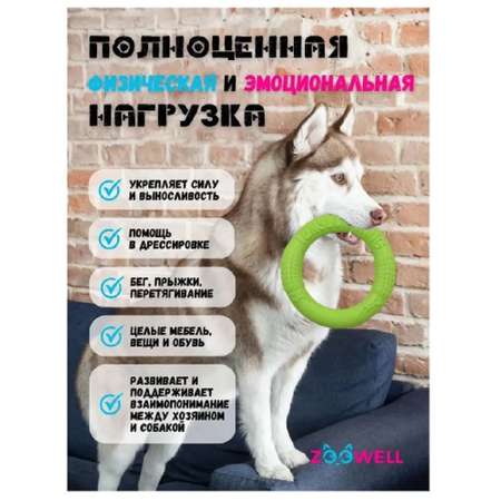 Игрушка для собак ZDK ZooWell Кольцо Апорт 28см цвет зеленый