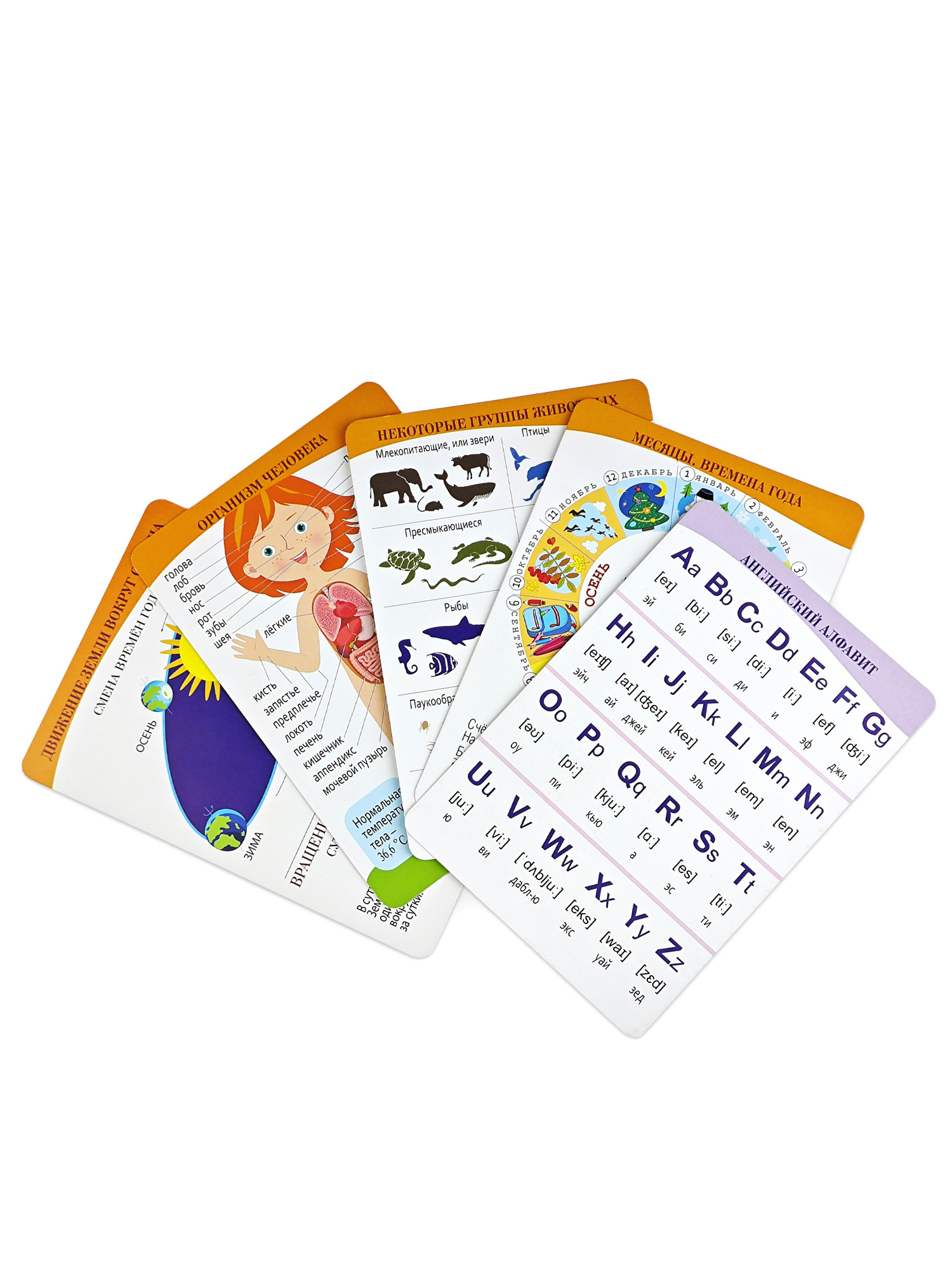 Настольная игра Дрофа-Медиа - фото 16