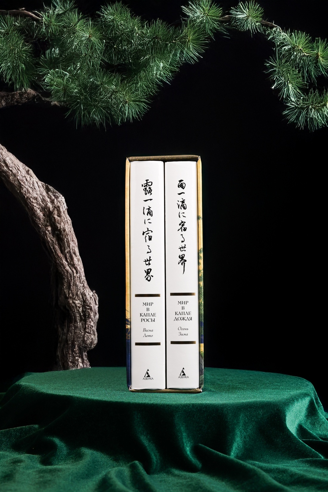 Книга АЗБУКА Мир в капле - фото 4