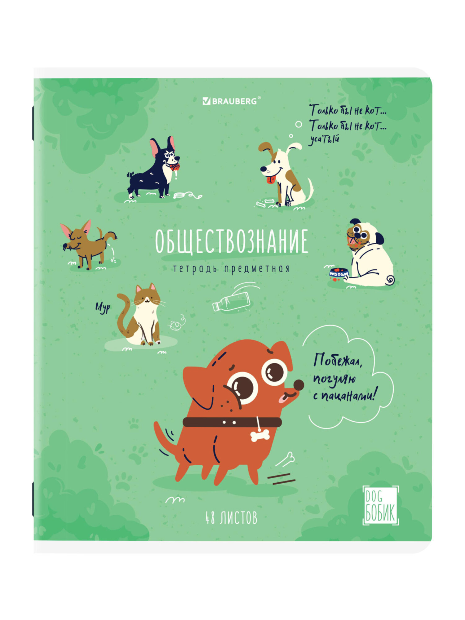 Тетрадь Brauberg 48 лист. 12 шт. - фото 13