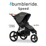 Коляска прогулочная Bumbleride Speed 2025 / Storm