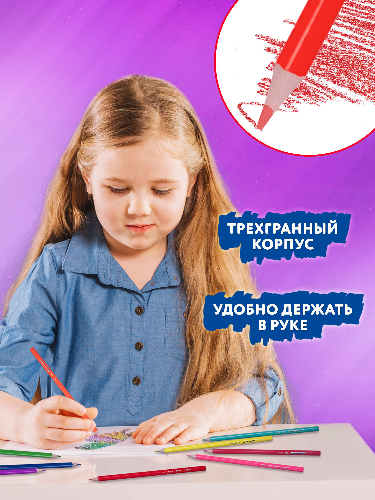 Карандаши цветные Brauberg 50 шт. - фото 3