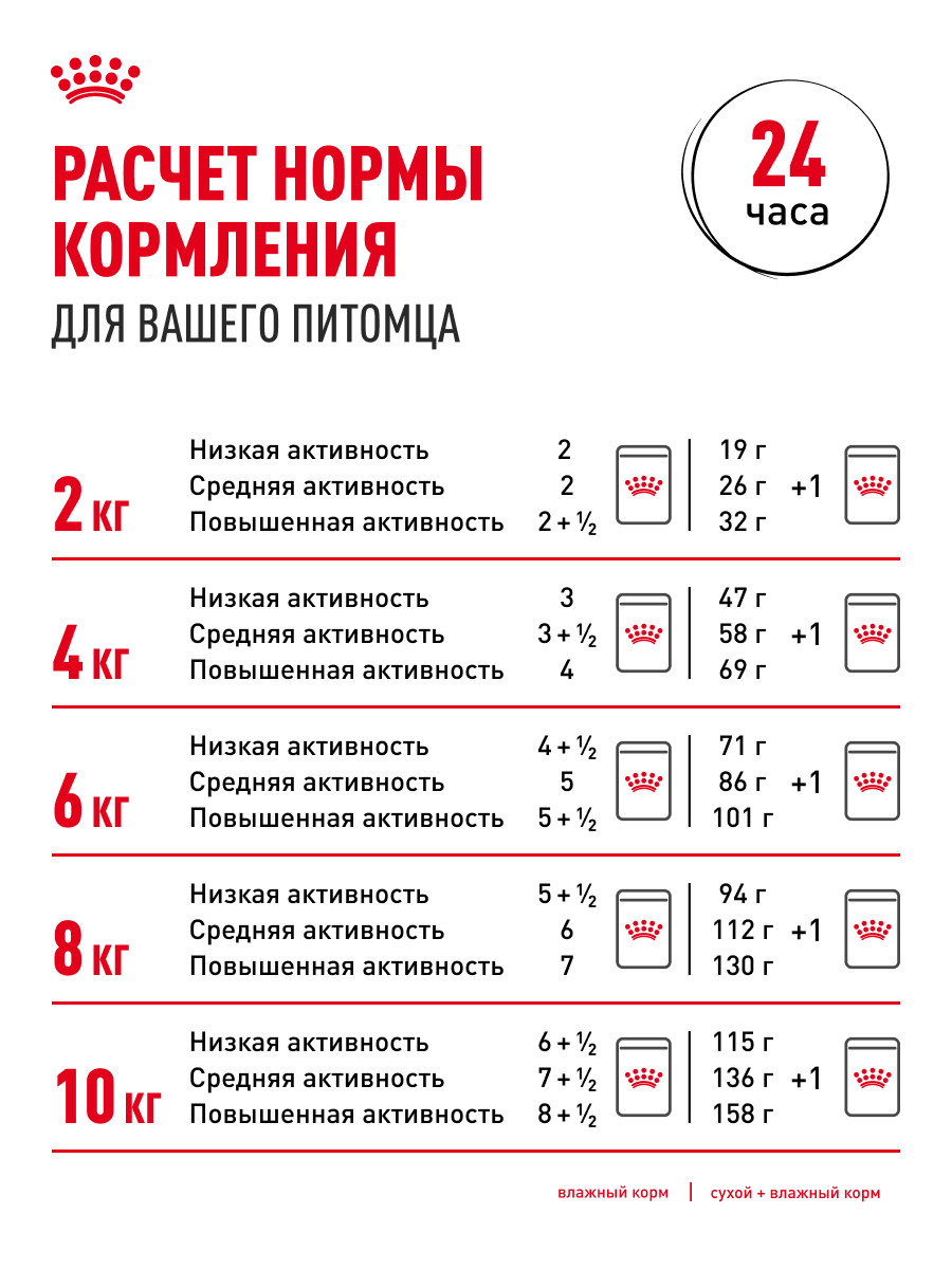 Корм для собак ROYAL CANIN Mini Ageing 12+ для стареющих собак мелких размеров 85г - фото 9