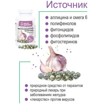 Растительные концентраты Алтайские традиции Масло чесночное 240 капсул