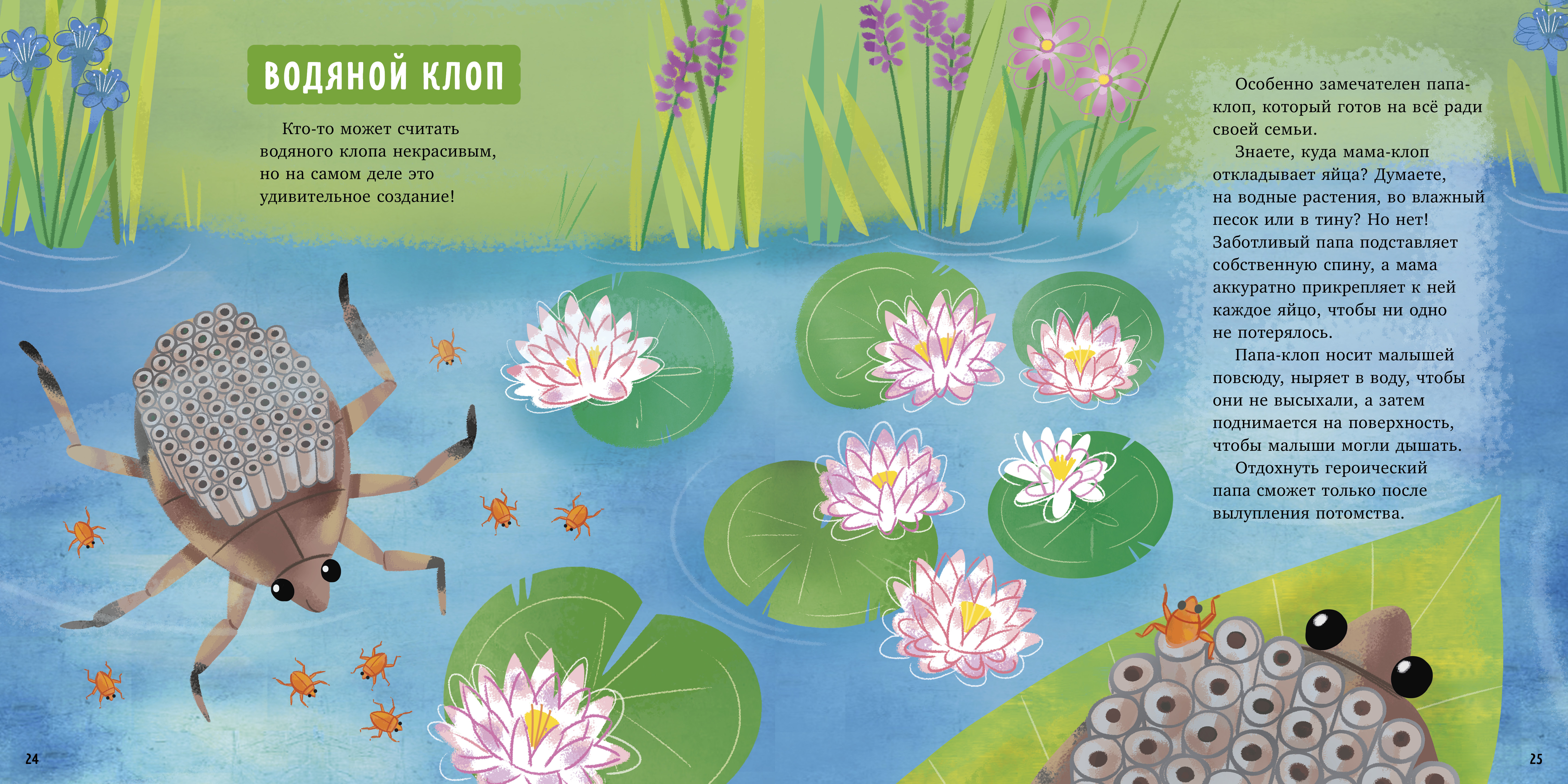 Удивительные животные Clever Книга - фото 5